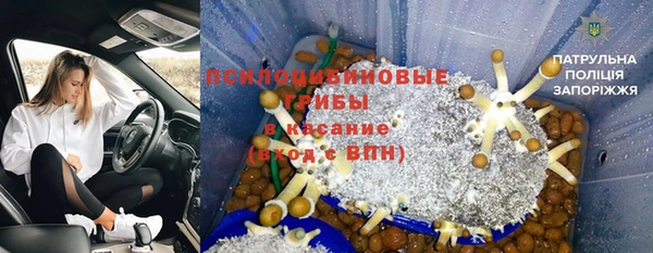 тгк Козельск