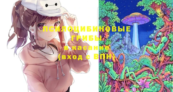 тгк Козельск